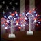 2-Pack 18" Patriotic Lighted Birch Trees - Battery Operated Tabletop Independence Day Decor - 24 LED Red, White, & Blue Crystal Star Lights with Timer for Mantel & Party Centerpiece